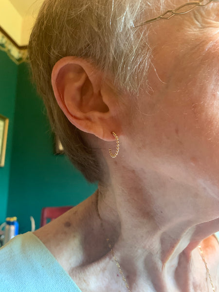 Julia Hoops