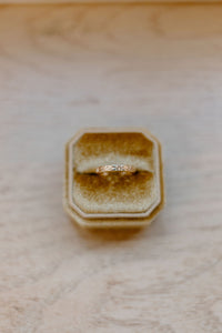 Solid Gold, Patience Ring