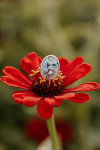 Addie Jane Floral Ring
